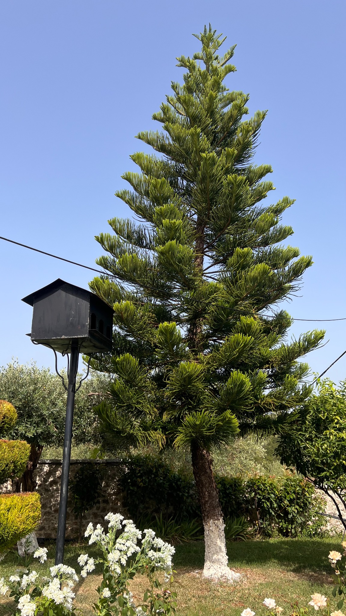 Parga 2026 – Bild 22