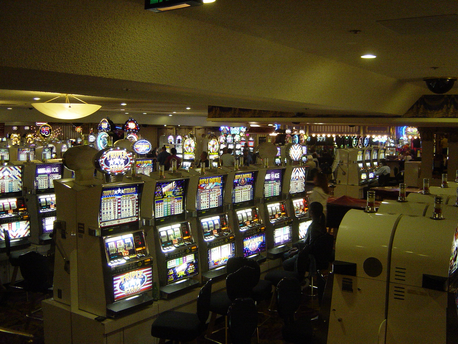 USA-resa 1 2005 – Bild 55