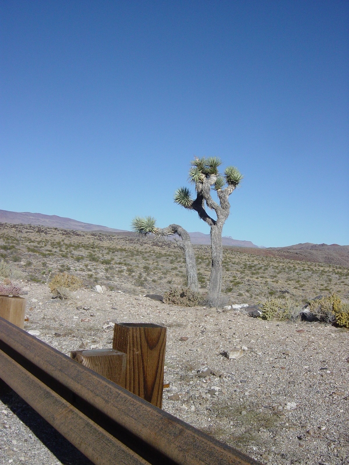 USA-resa 1 2005 – Bild 65