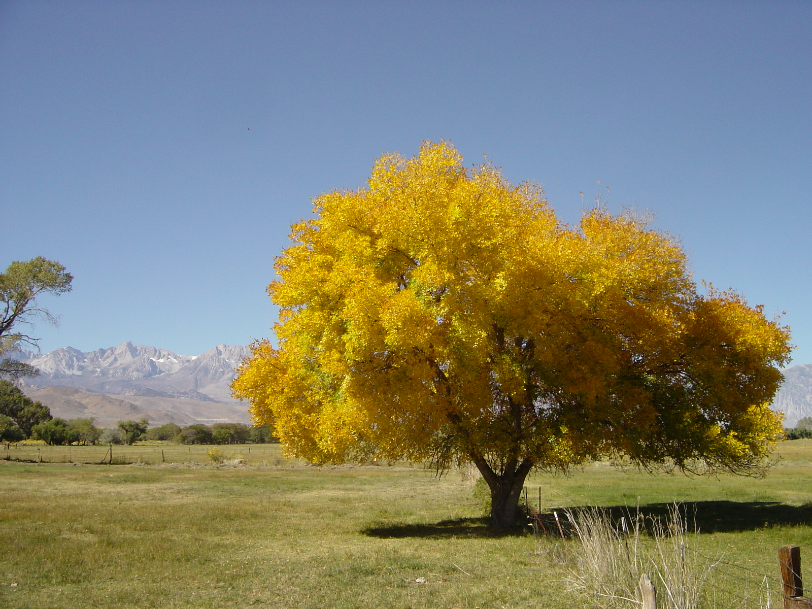 USA-resa 1 2005 – Bild 68