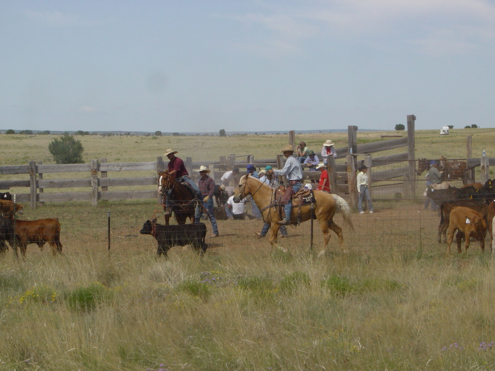 USA-resa 2 2007 – Bild 46