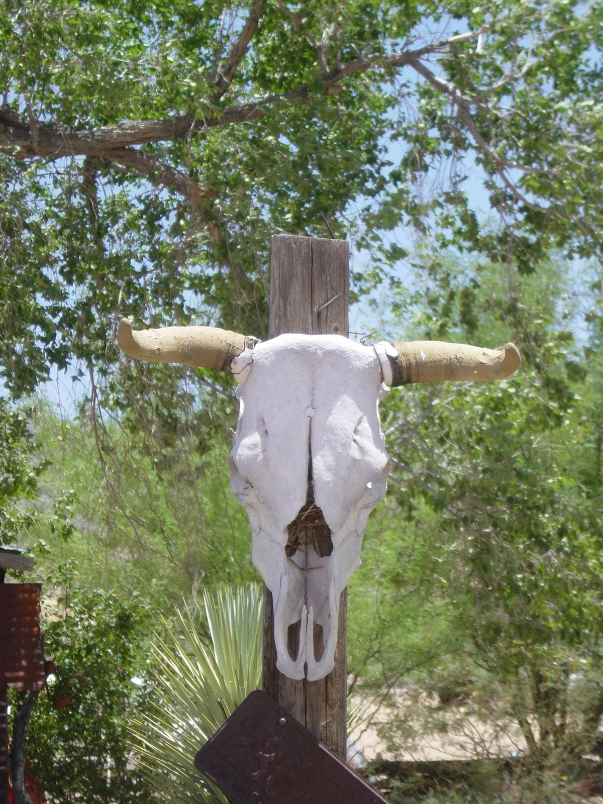 USA-resa 2 2007 – Bild 64